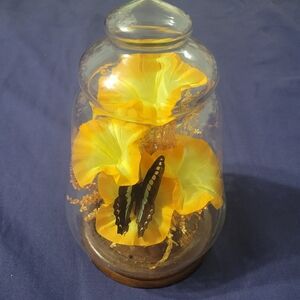 Vintage Preserved Butterfly Taxidermy Terrarium Silk Yellow Flowers